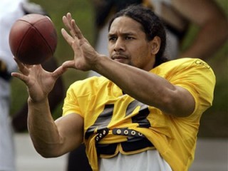 Troy Polamalu picture, image, poster